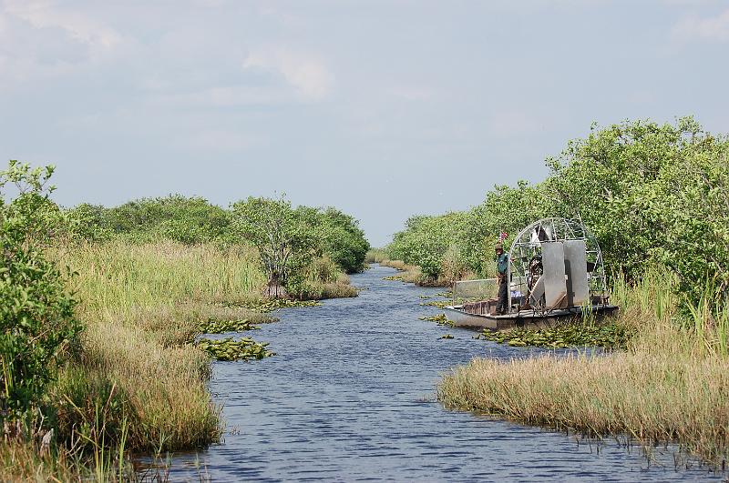 519. everglades.JPG